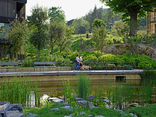 Die Idee der Schwammstadt sieht vor, dass Regenwasser gesammelt wird, statt ungenutzt abzufliessen.