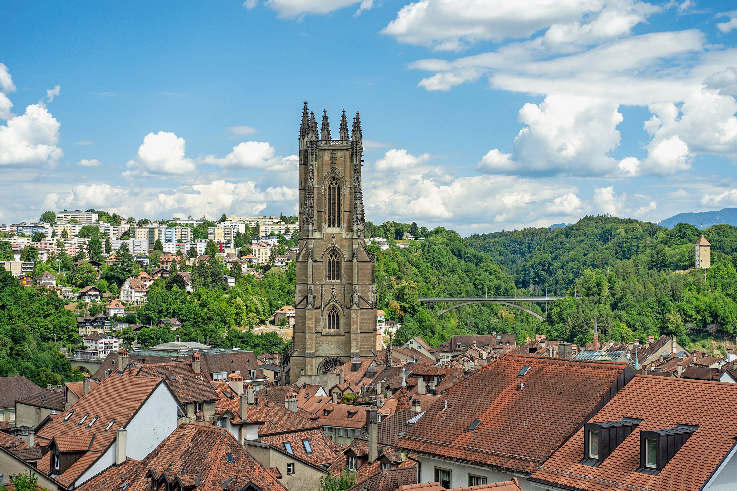 Blick auf die Stadt Freiburg. Die Freiburger Gemeinden und der Kanton arbeiten in der Digitalisierung eng zusammen.